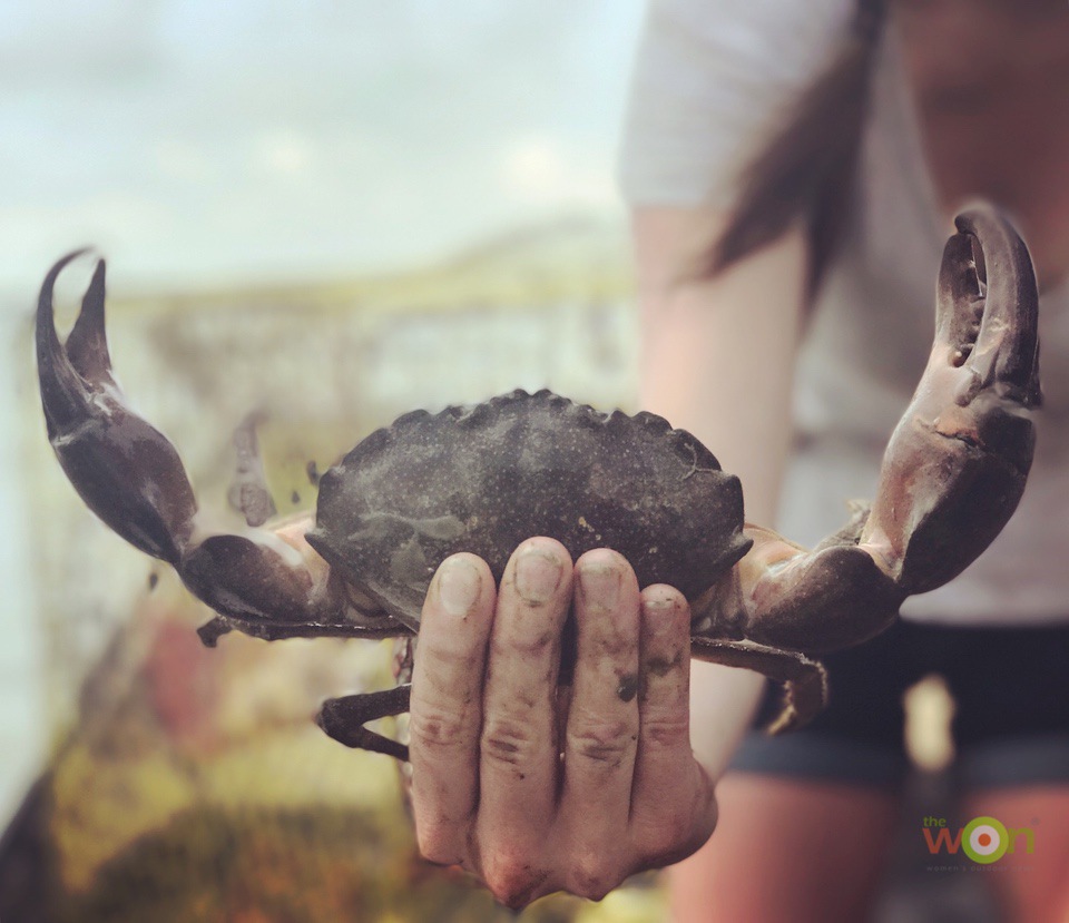 HollisLumpkin_TXPhoto_Stone Crab Texas