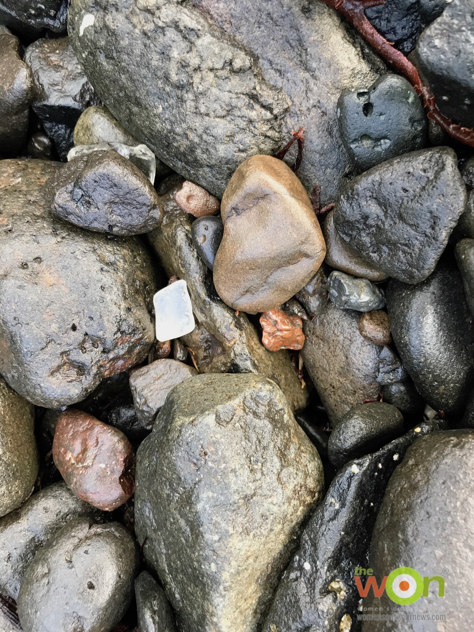 sea glass Dunvegan Isle of Skye