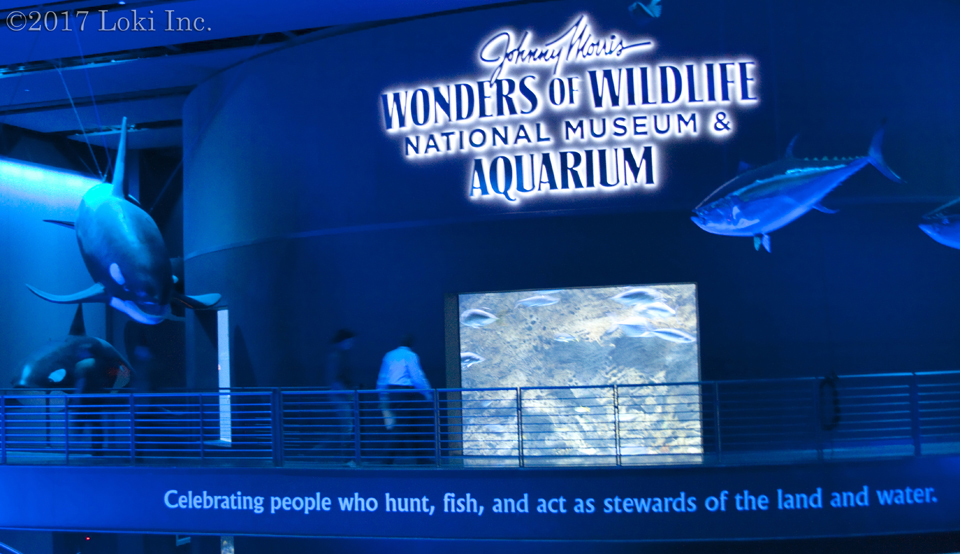 entrance to WOW aquarium