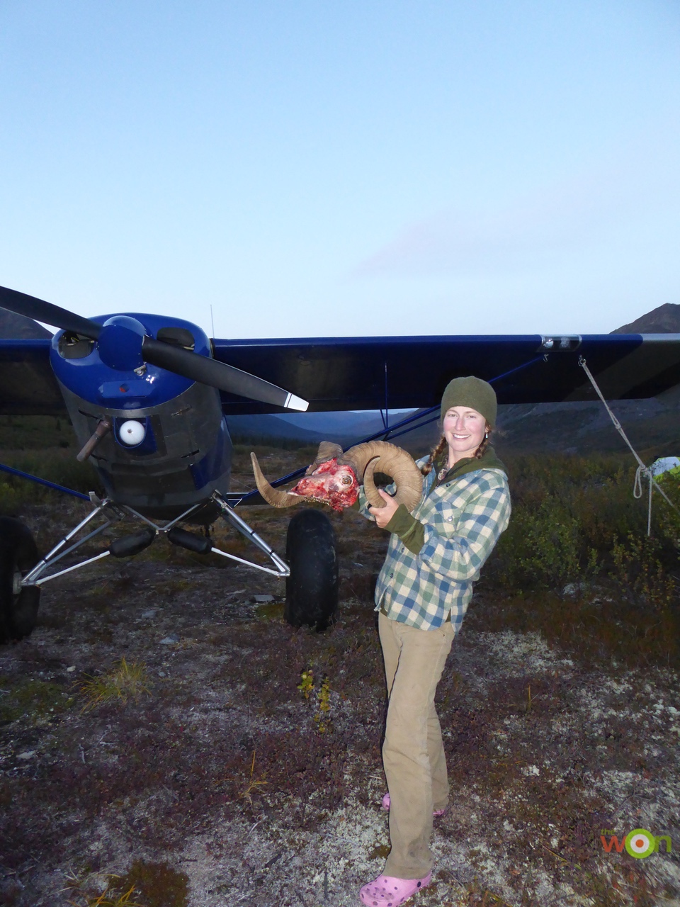 Tia and her first dall sheep horns taken in the Brooks Range this last August Tia Shoemaker