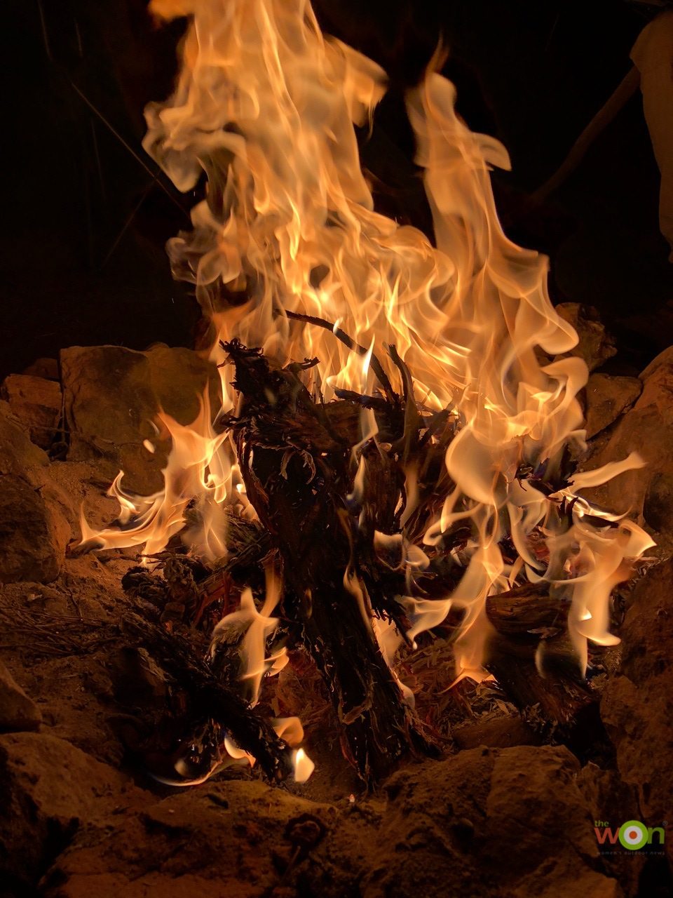Campfire-Pavlich