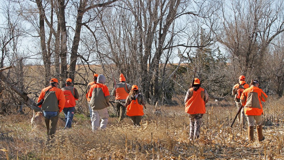 moving to hunt pheasants in Kansas