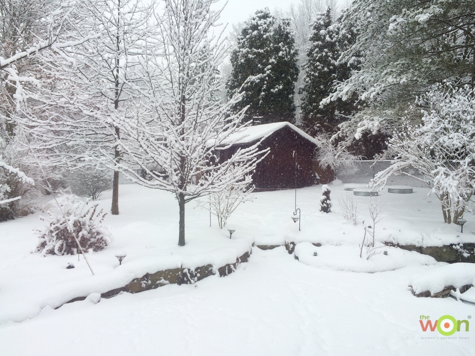 Winter-Cerino-yard