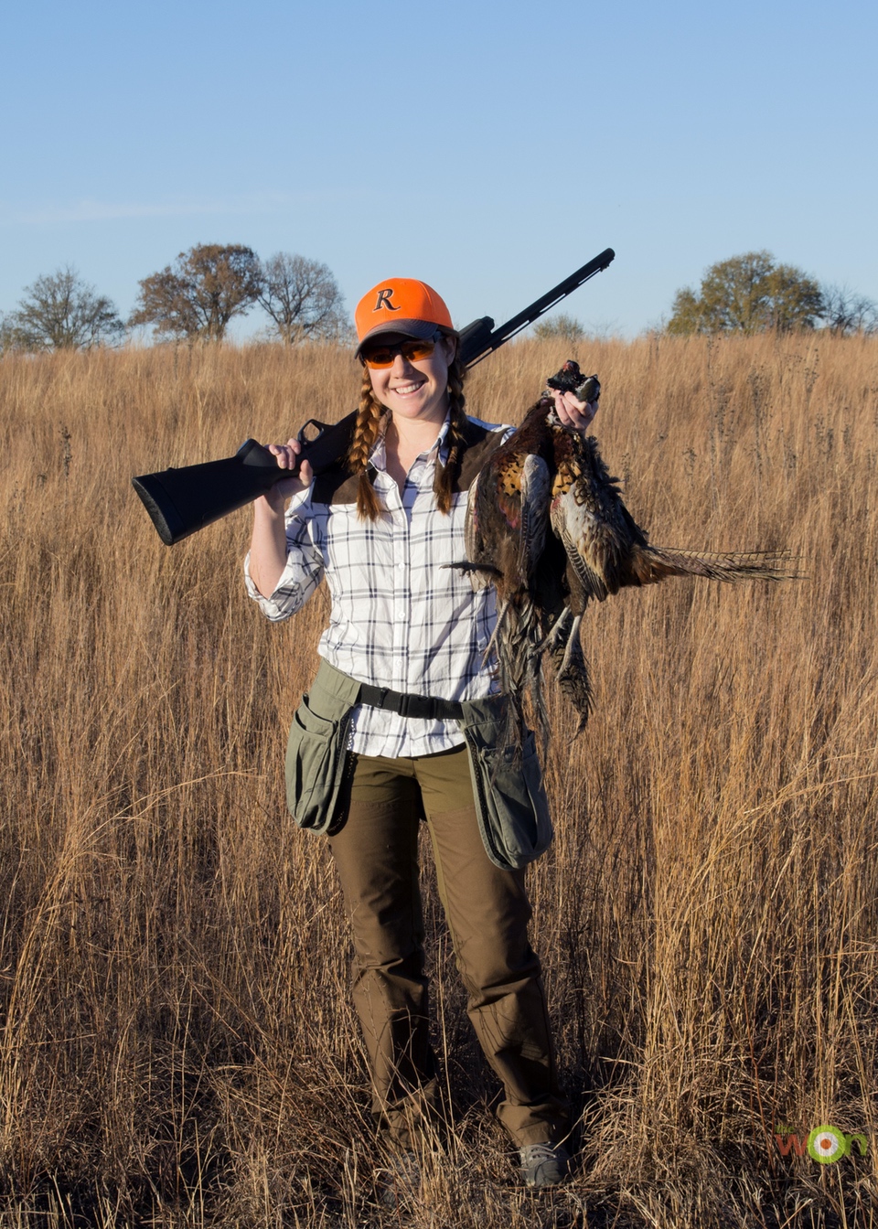 A nice handful of roosters!