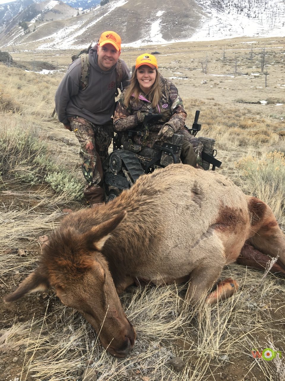 ElkWithRuss-Lundvall-January cow elk