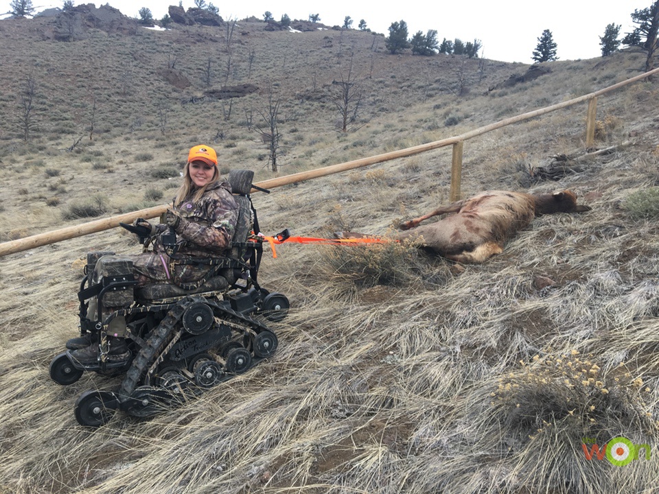 PackingOut-Lundvall-January cow elk