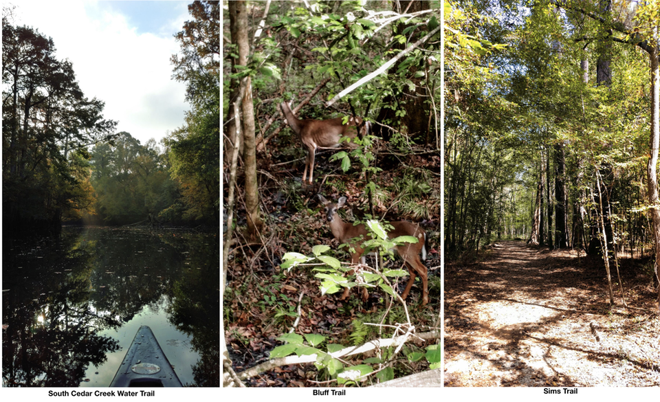 360-Parks Congaree National Park