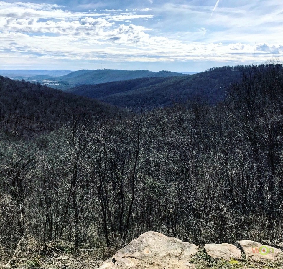 Monte Sano View