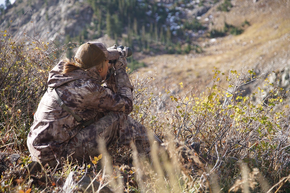 Janna-Waller-Mule-deer