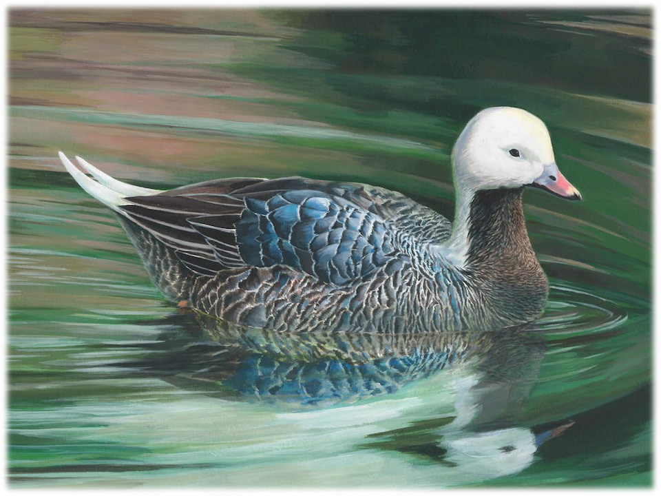 2018 Junior duck stamp artist winner 