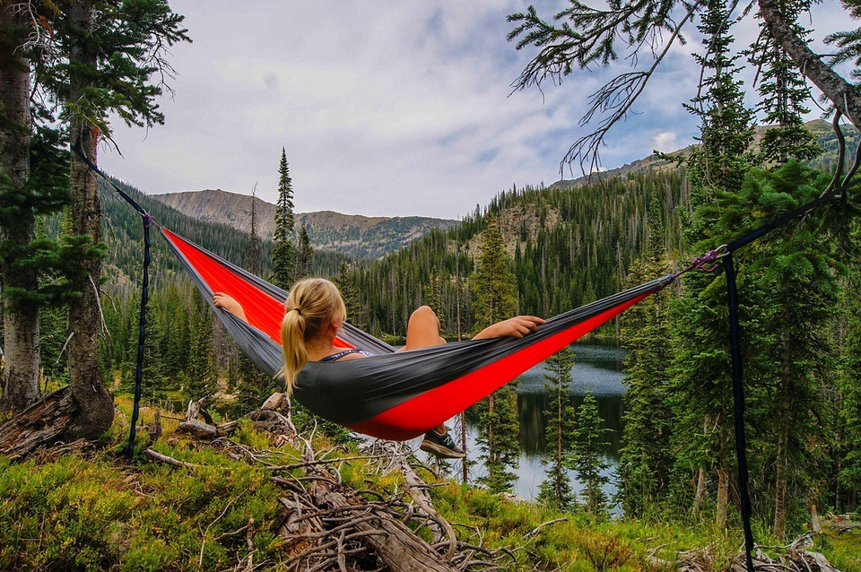 hammock-