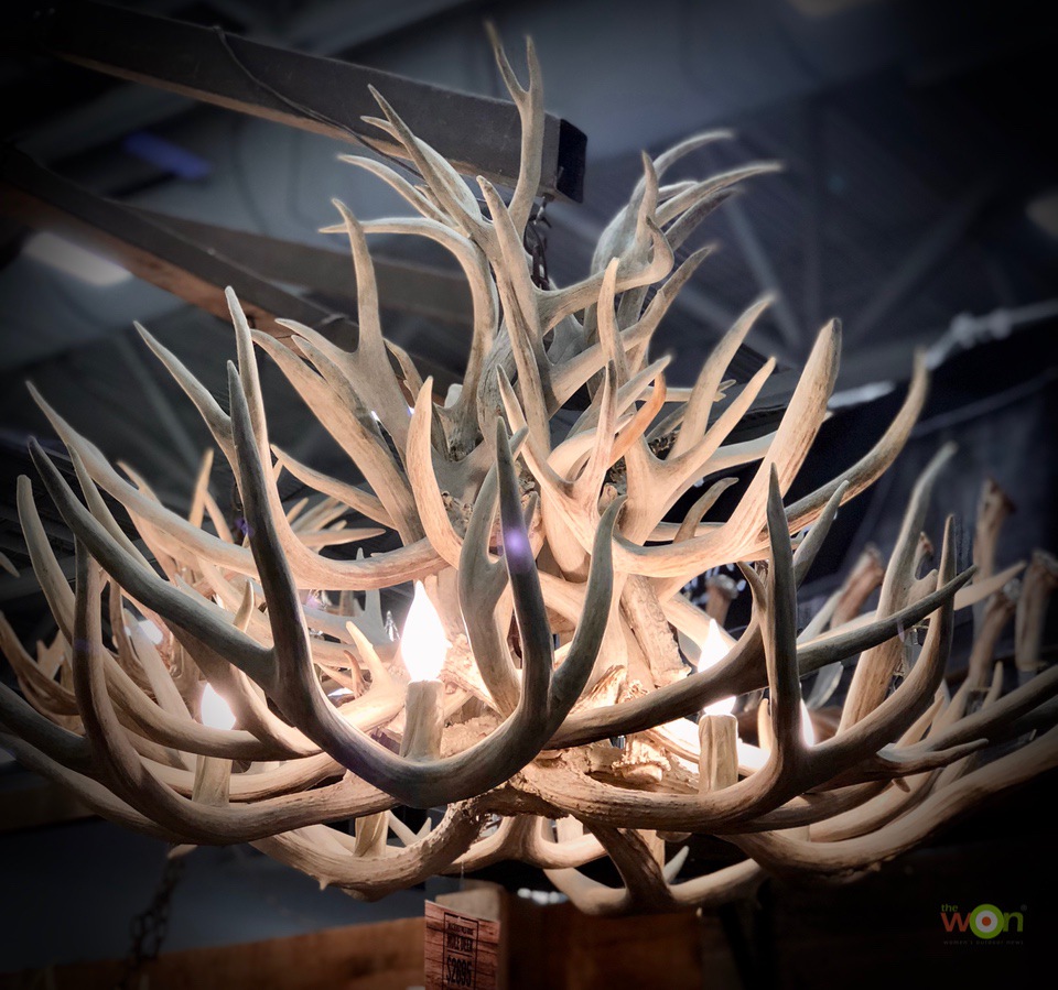 Antler-Light-Cerino