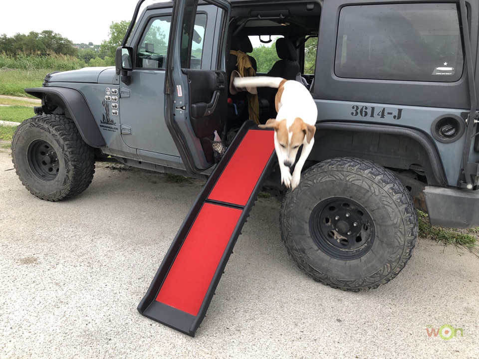 Extreme-Terrain-Kurgo-Pet-Ramp-Dog2- Pet Ramp