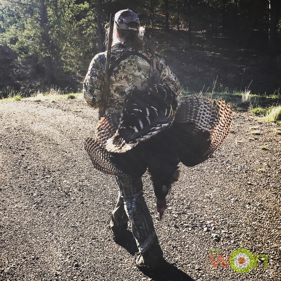 Merriam's turkey Colorado mountain hunt