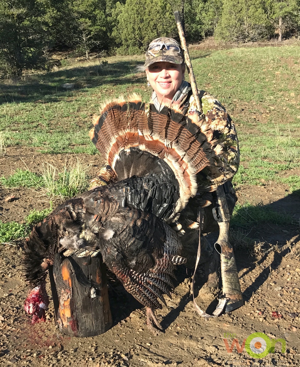 Merriam's turkey toad head