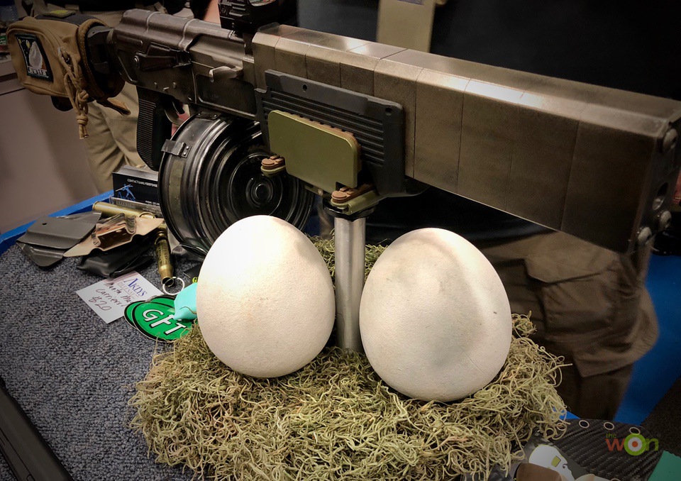 Velociraptor-Eggs-NRa-Cerino