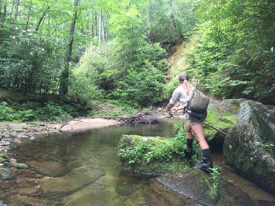 trout fishing picture 2