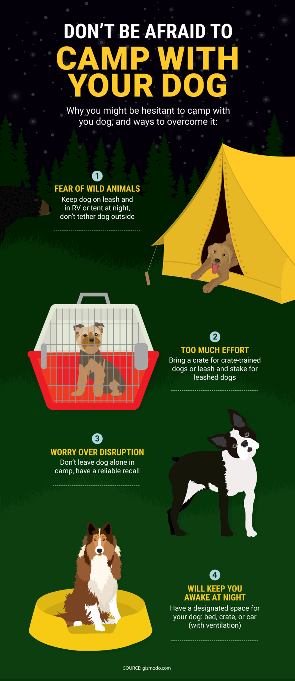 tips for camping with a dog camping dog