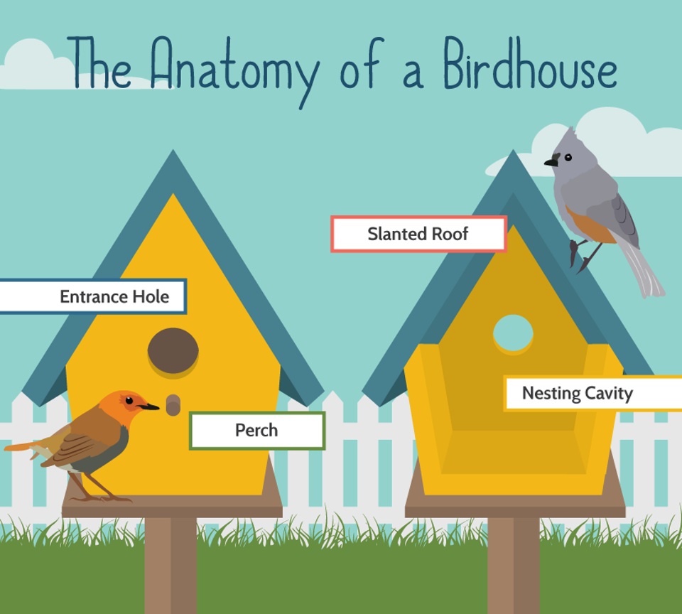 anatomy-of-a-birdhouse building a birdhouse