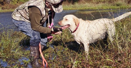 muck boots fieldblazer