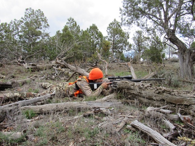 prone-position-rifle-ansinte