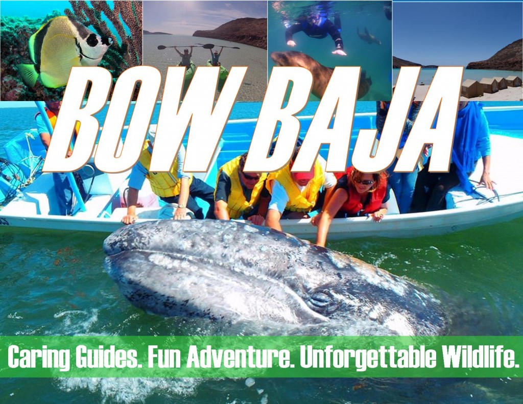 BOW_bajatrip