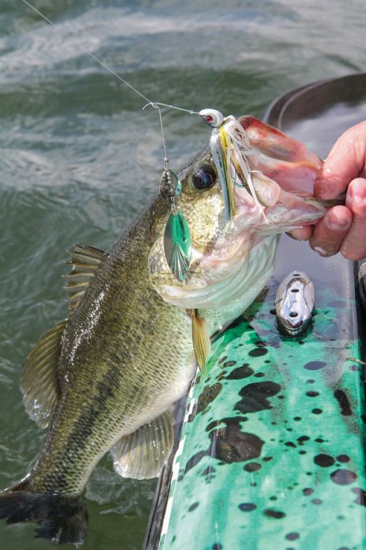 Bass fishing lure women