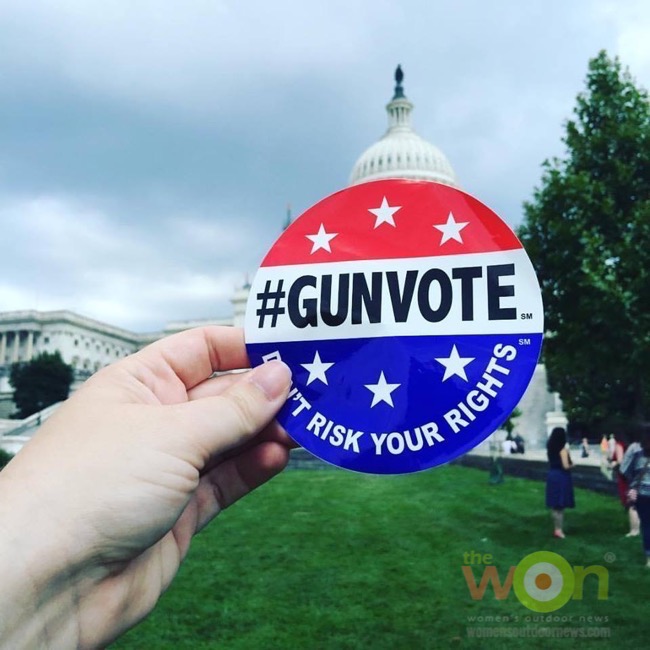 #gunvote Second Amendment GUNVOTE