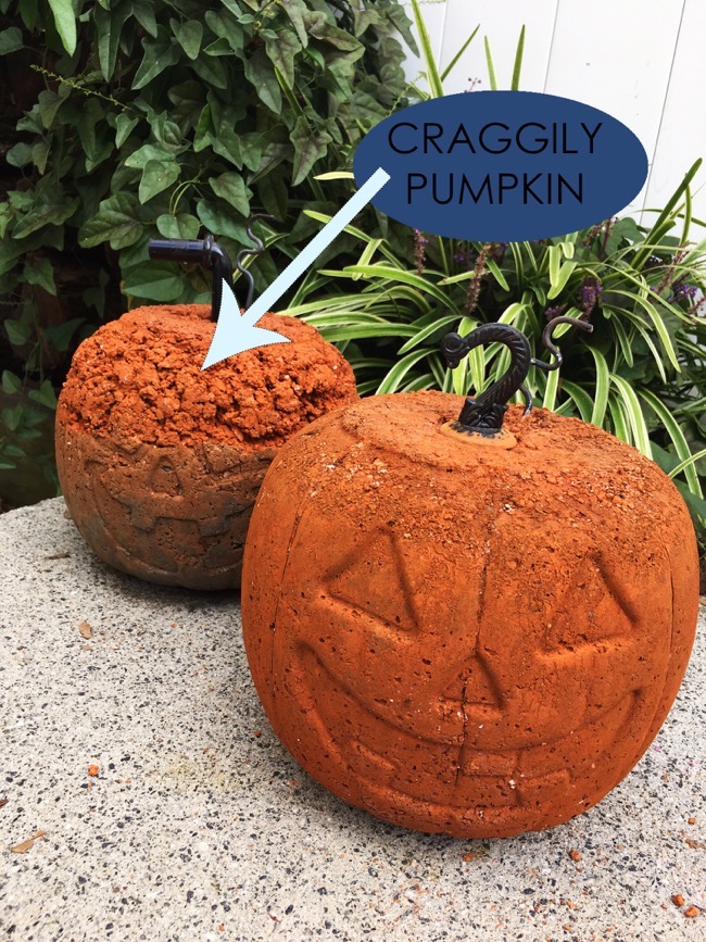 craggily pumpkin concrete