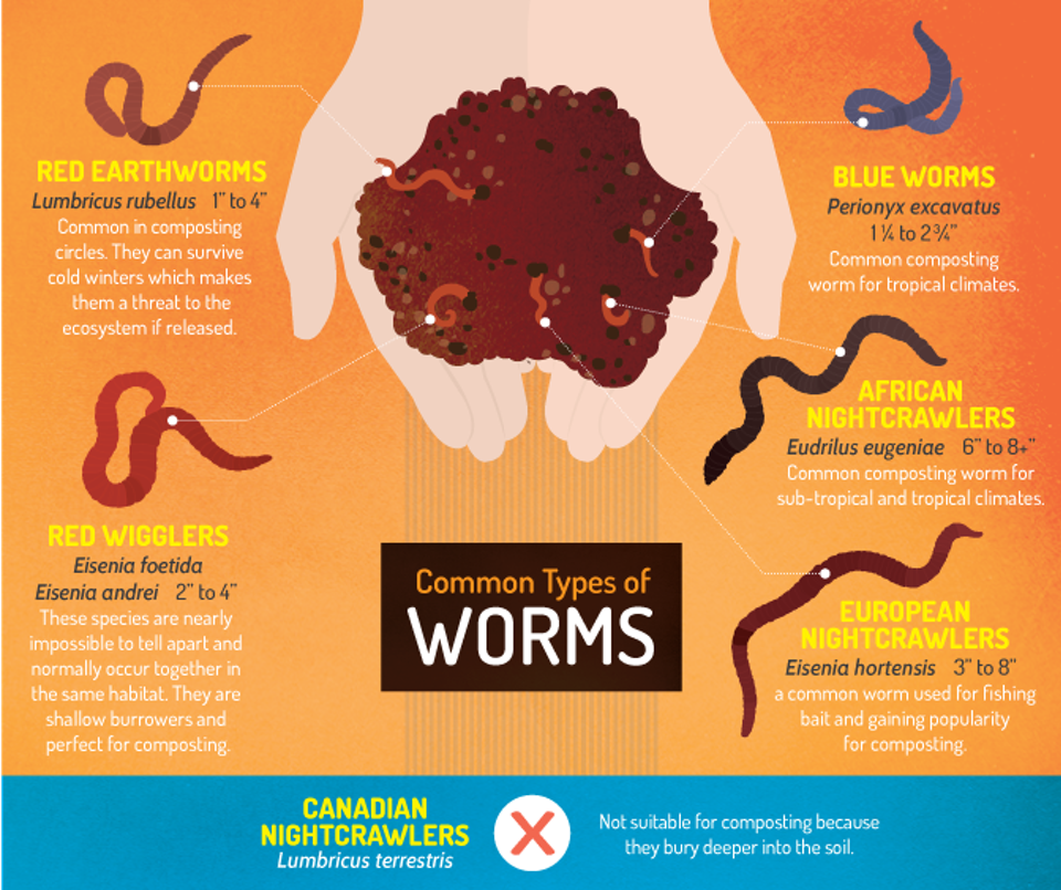 Vermicomposting