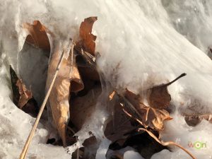 Frozen Shenandoah Weekend