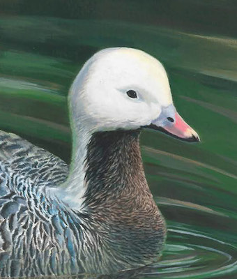 Junior Duck Stamp King painting