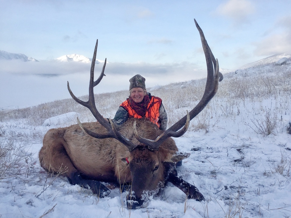 My big elk harvested last season