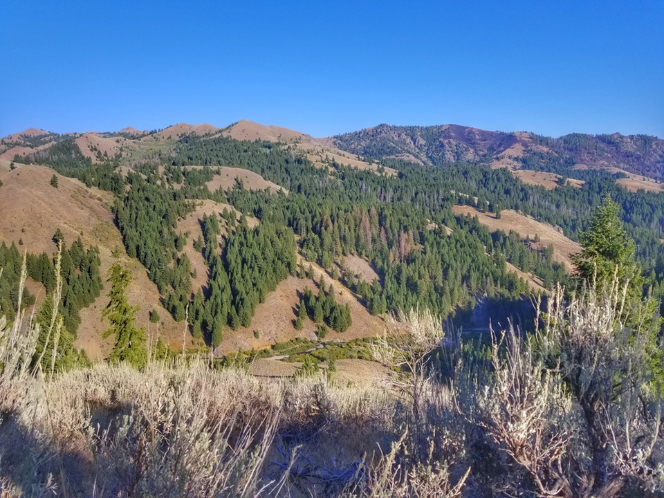 Idaho Elk Hunt AliJuten