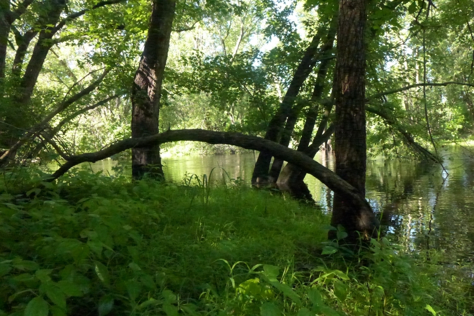 Assabet river National Park Foundation Massachusetts