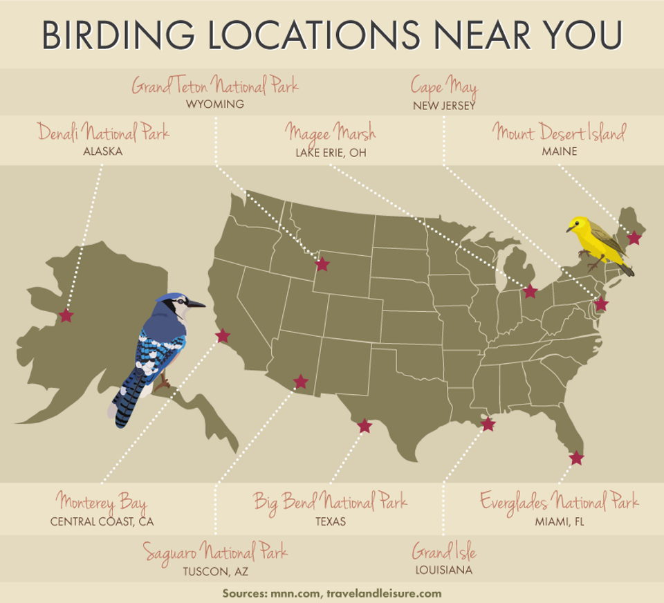 birding locations near you Migrating