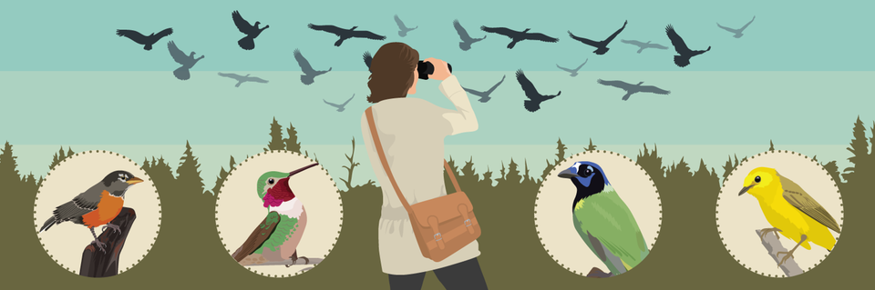 Birding migration locations