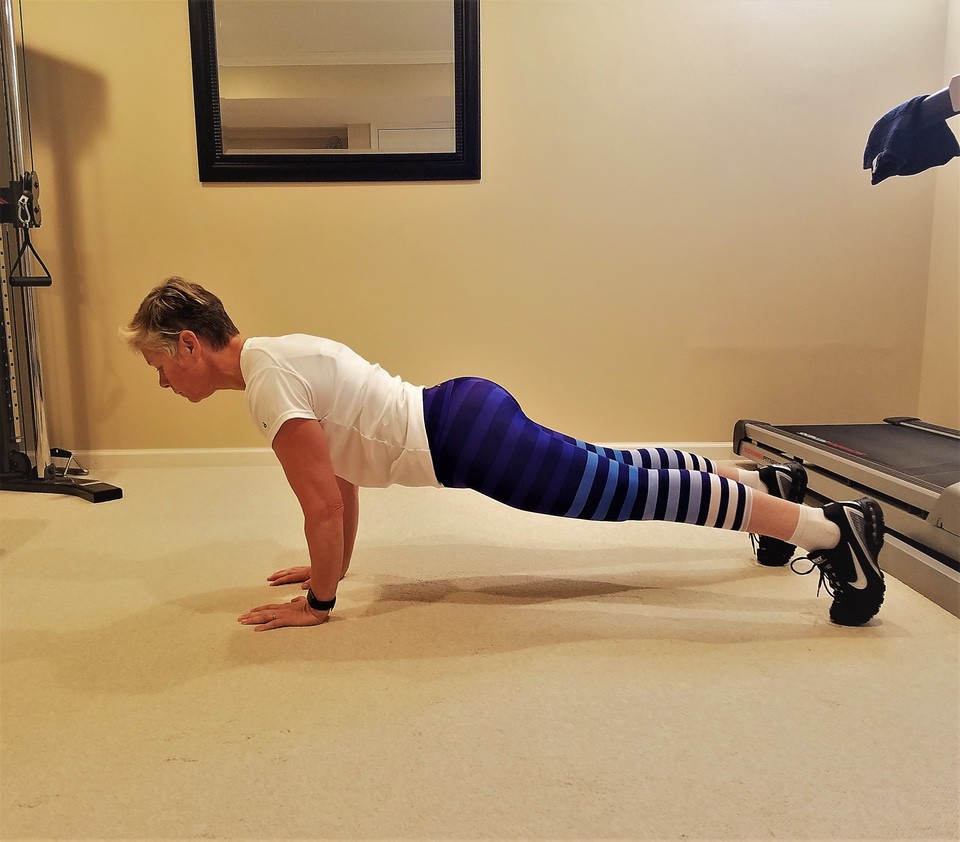 Plank Rows