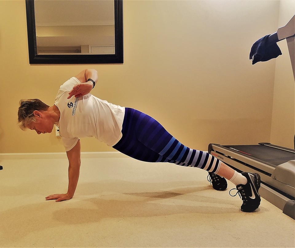 Plank Rows