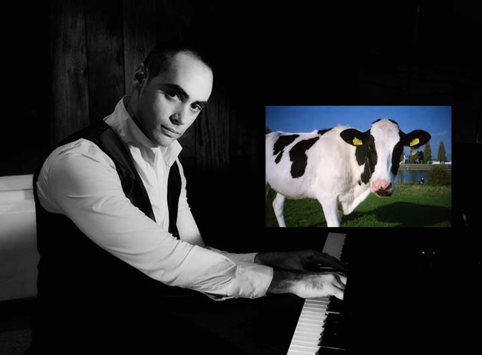 playing piano to a cow Vera Koo Digital Imaging