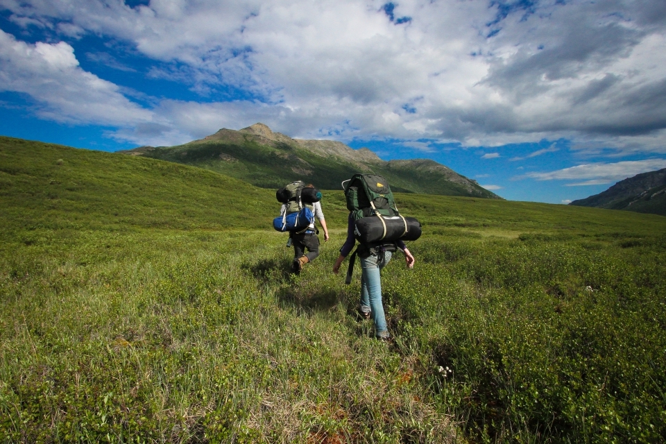 denalinpp_backpackers-alpine-meadow_alex-vanderstuyf_nps