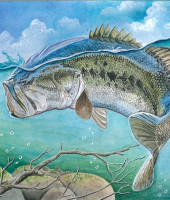 State Fish Art feature