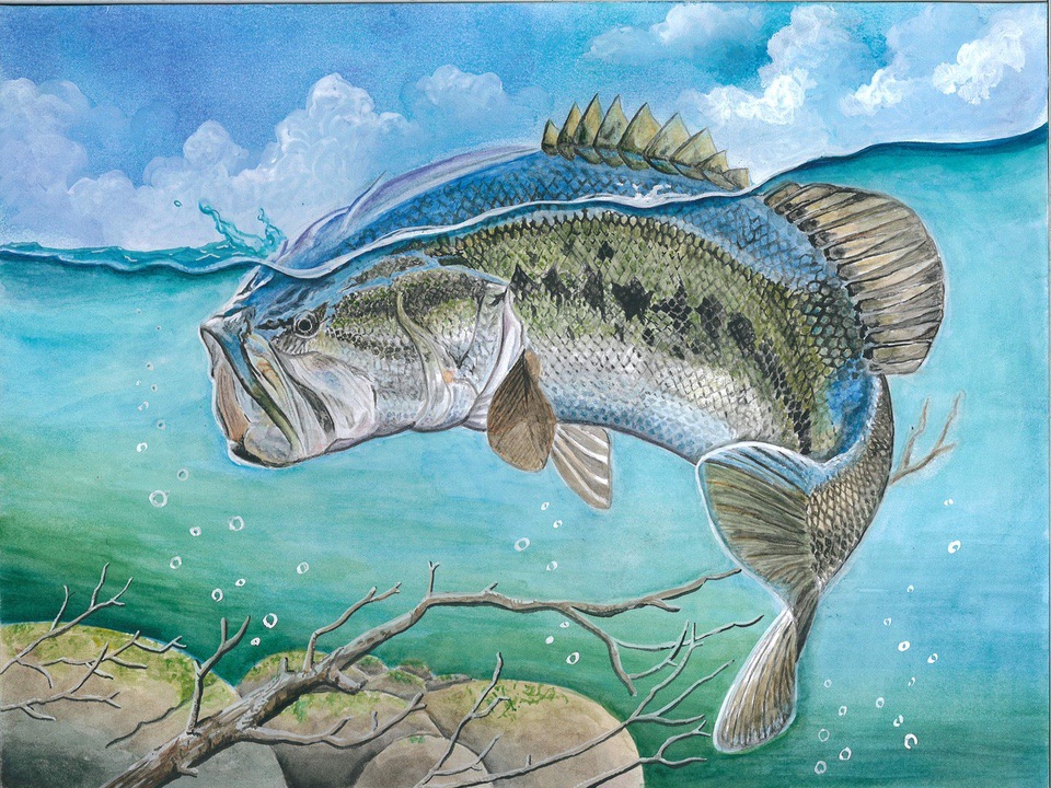 State-Fish art 