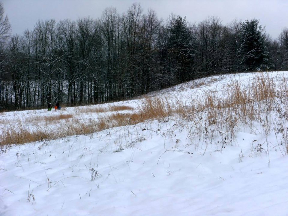 Sledding