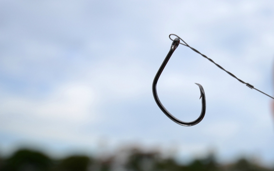 fishing hook