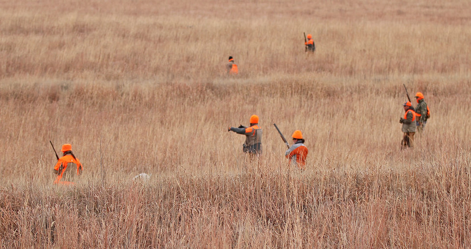 in the pheasant field rnc