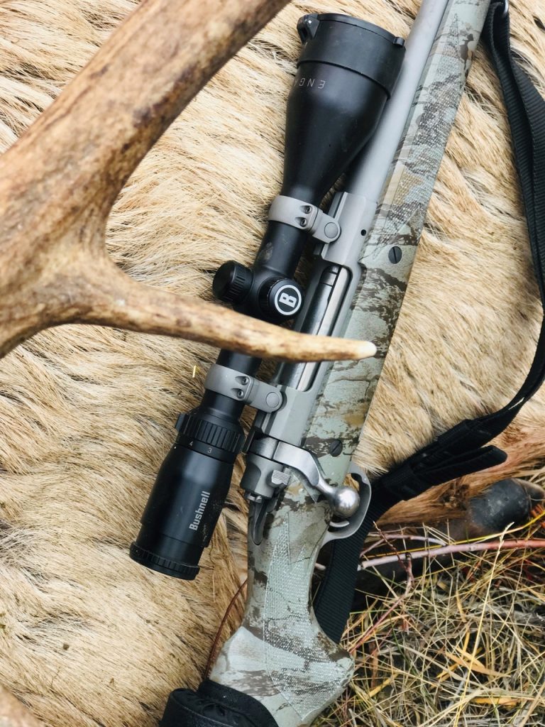 quest for elk montana ruger rifle