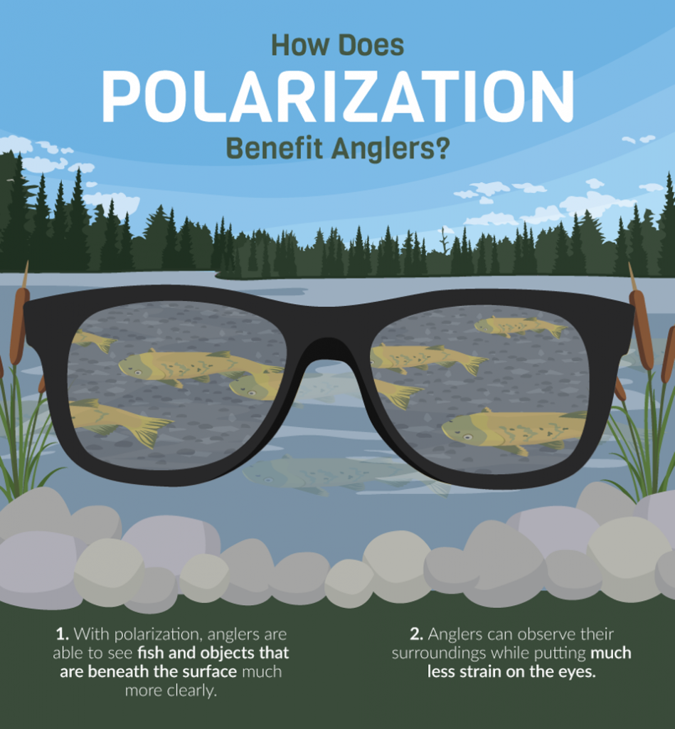 how-does-polarization-effect-anglers Fishing Sunglasses