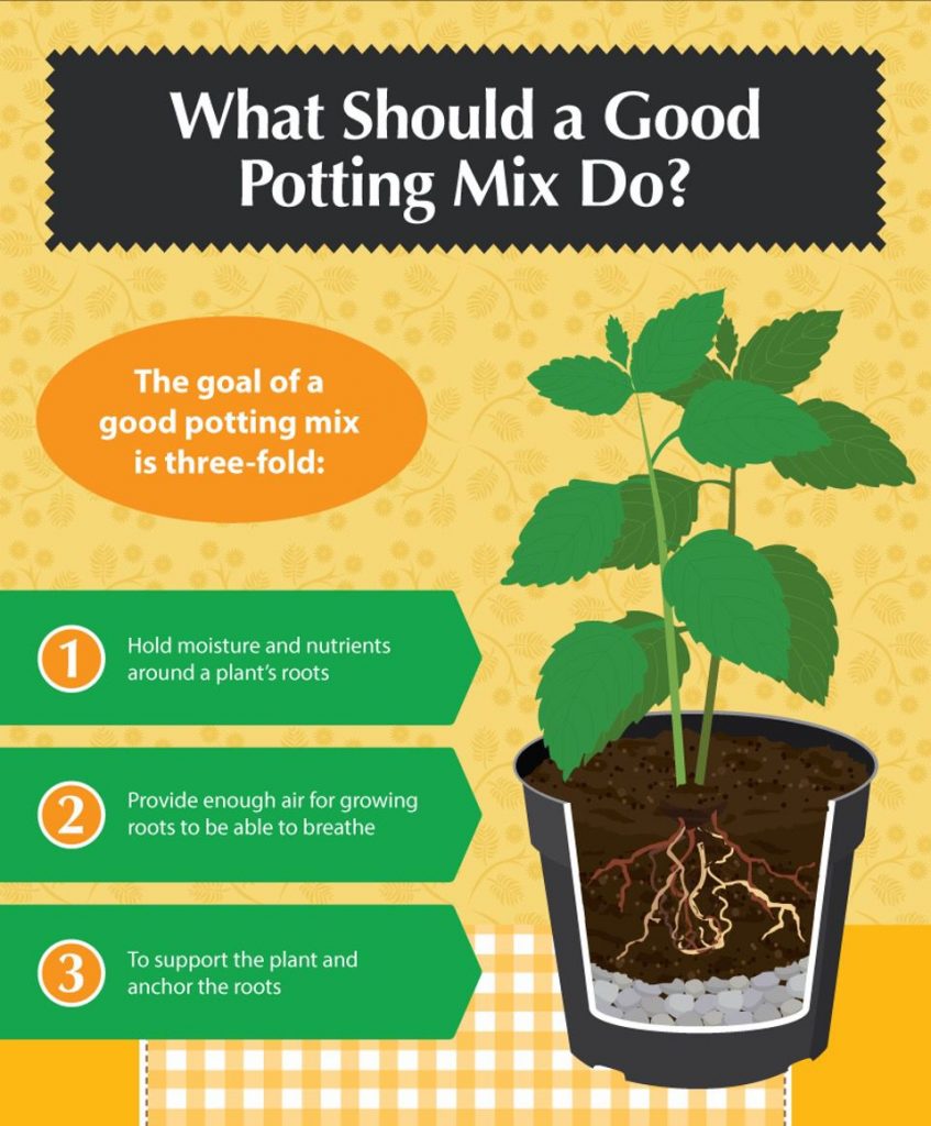 potting-soil DIY Potting Mixes