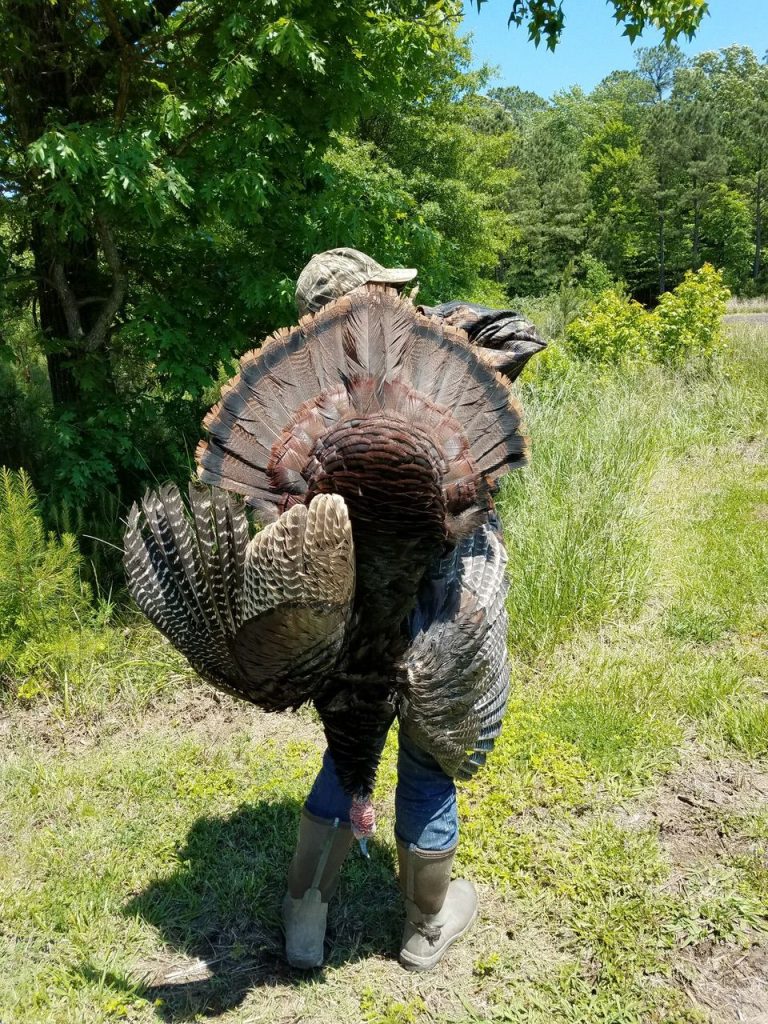 Vicky Mullaney Cookbook Author turkey on back